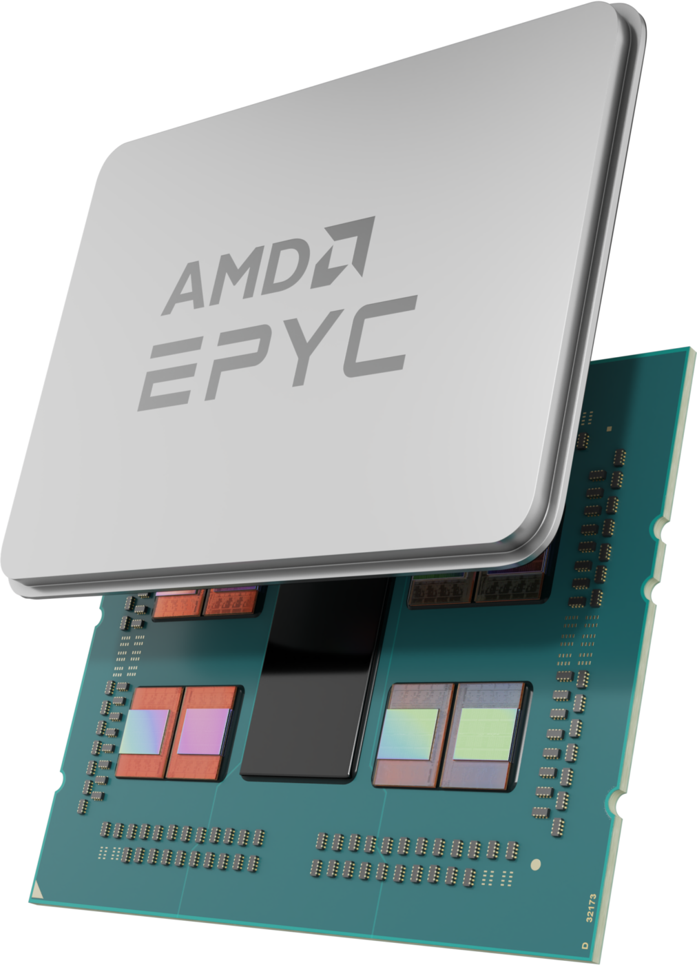 Amd