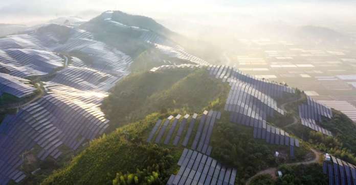 Microsoft sostenibilità