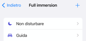 full immersion iPhone