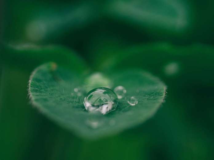 sustainability unsplash sustainability unsplash