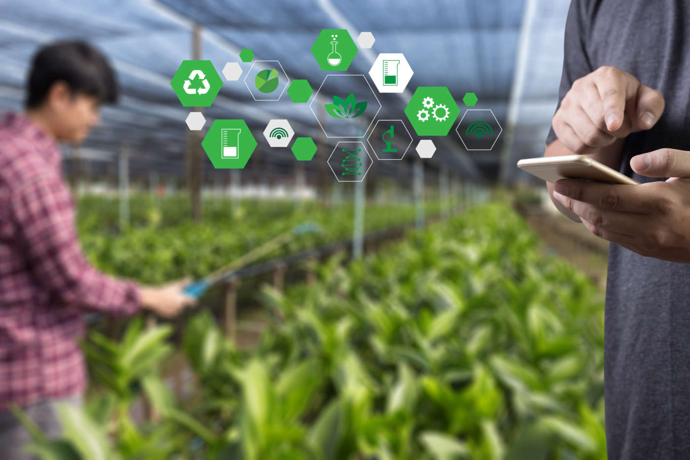 agricoltura adobe stock