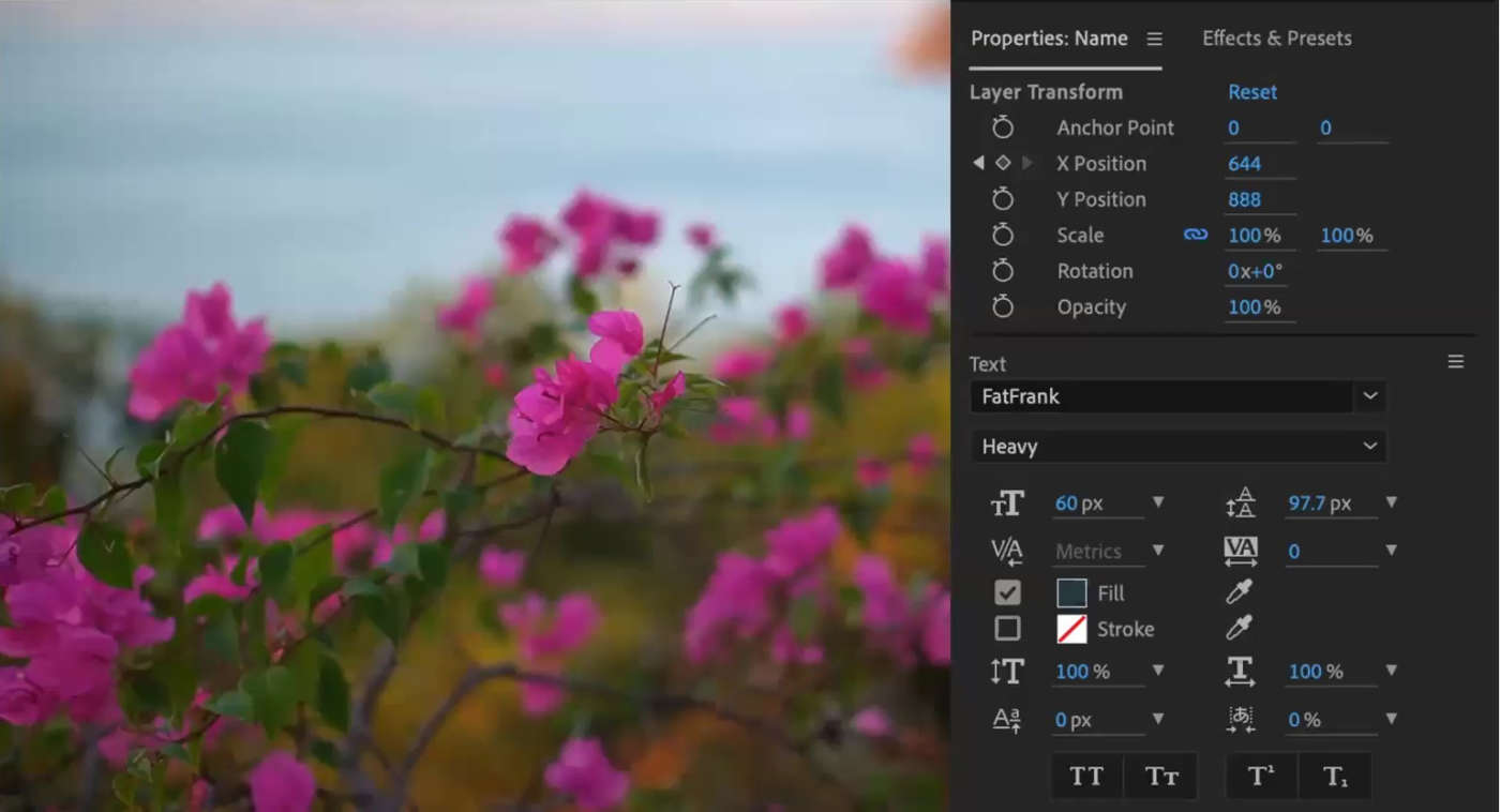 Adobe Creative Cloud for Video