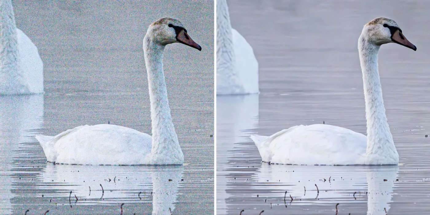 Denoise AI. Foto prima e dopo di Katrin Eismann.