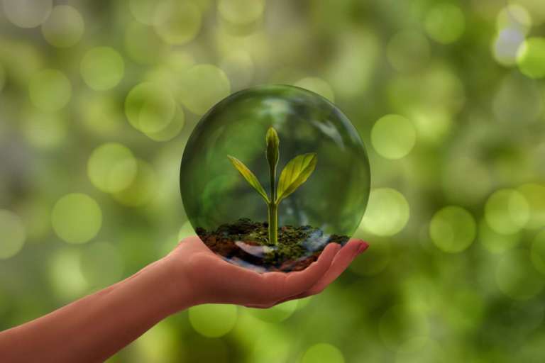 sostenibilità pixabay