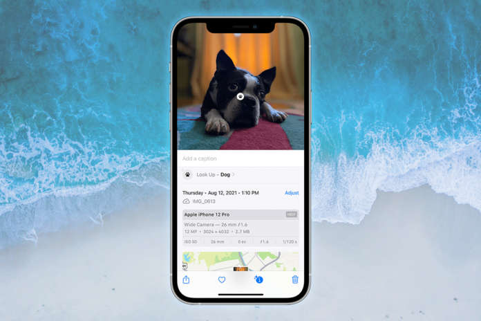 iphone photos foto iPhone