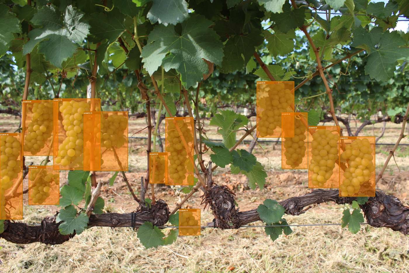 Awentia immagini dati intelligenza artificiale