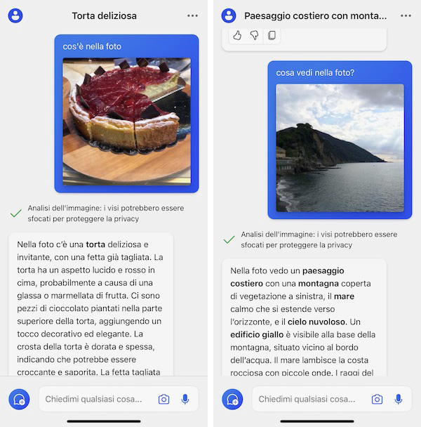 Microsoft Copilot iOS