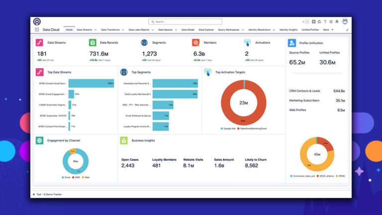 Salesforce Data Cloud