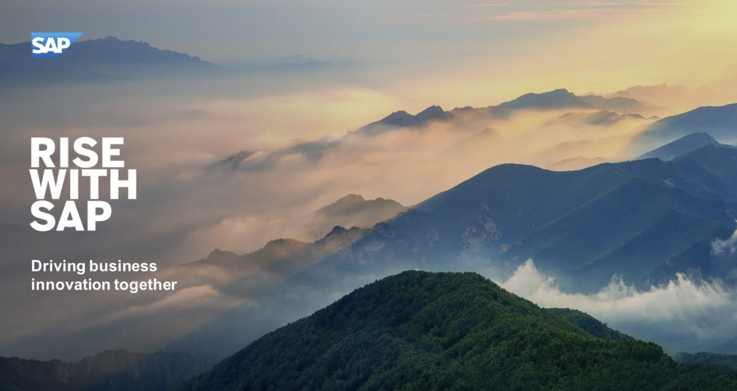 rise with sap prysmian