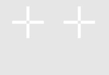 IBM Partner Plus Awards 2025: annunciati i vincitori EMEA, tra cui Protiviti per l’Italia ibm partner