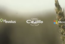 Altograno punta sull’AI generativa insieme a Microsoft ed Hevolus Altograno Casillo Microsoft Hevolus