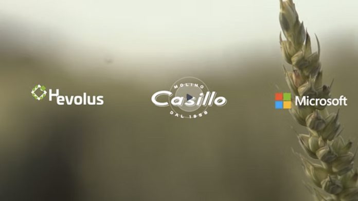 Altograno Casillo Microsoft Hevolus Altograno Casillo Microsoft Hevolus