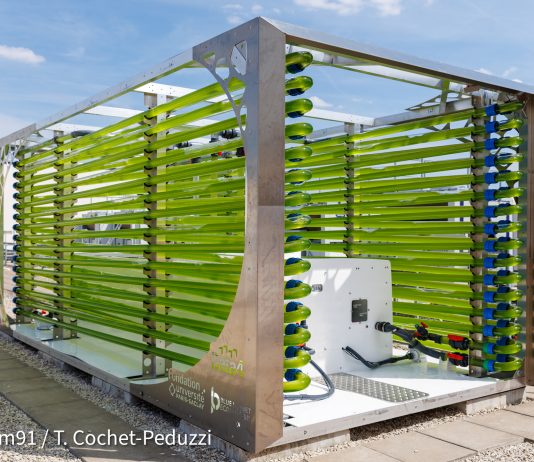 Data4: progetto per trasformare il calore di scarto dei data center in biomassa Data4 e Fondazione dell'Università Paris-Saclay