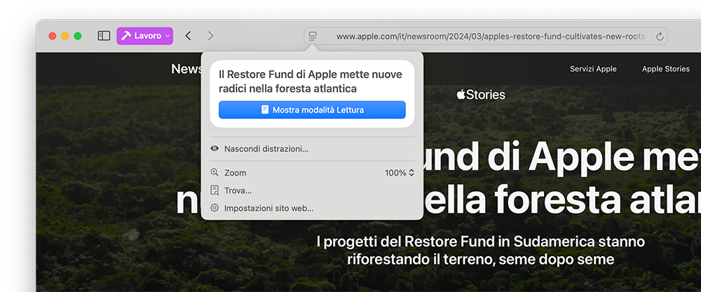 Riepilogo pagina web Safari Mac