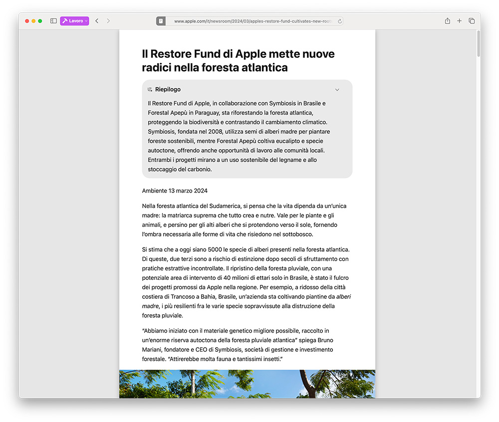 Riepilogo pagina web Safari Mac
