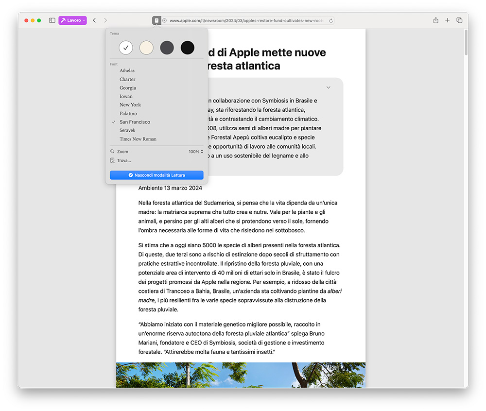 Riepilogo pagina web Safari Mac