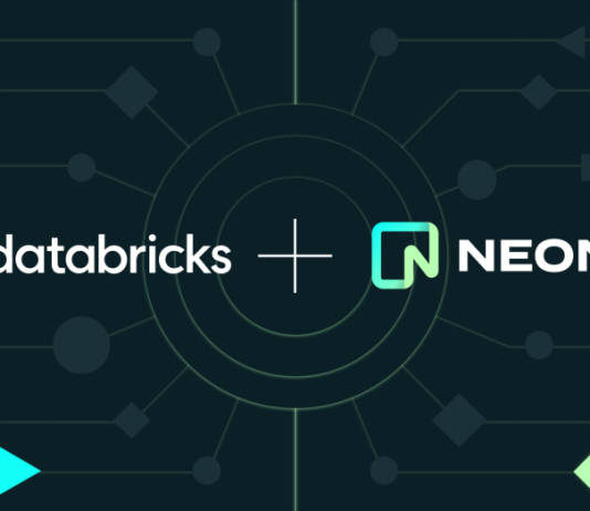 Databricks Neon