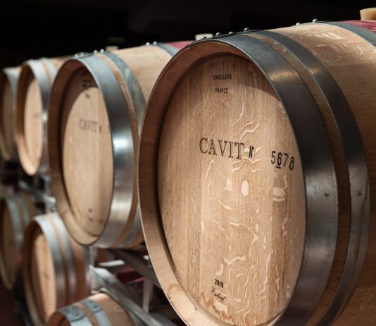 Cavit: dalla vigna al cloud passando da SAP