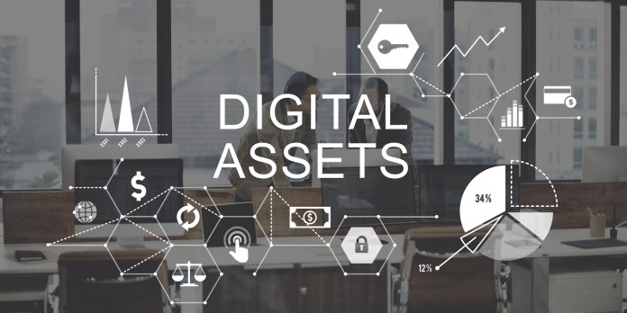 digital asset haven digital asset haven
