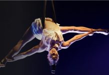 sap cirque du soleil