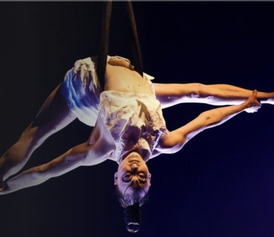 sap cirque du soleil