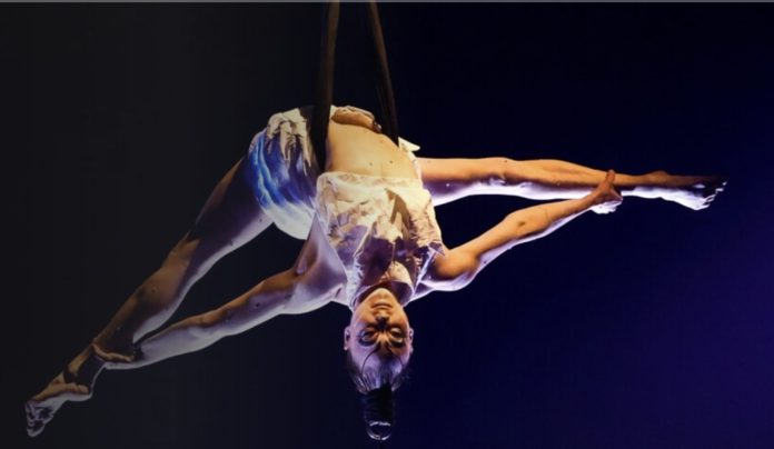 sap cirque du soleil sap cirque du soleil