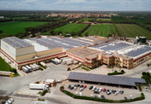 Come Arborea diventa un’azienda data-driven grazie a SAP ed EY arborea sap