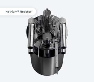 natrium reactor