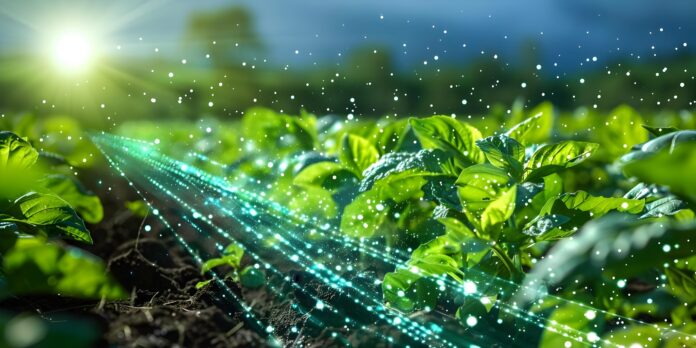Agrifood e digitalizzazione della filiera: un campo coltivato con piantine verdi attraversato da flussi luminosi di dati digitali e particelle di luce sotto i raggi del sole