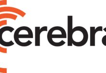 cerebras