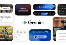 google gemini