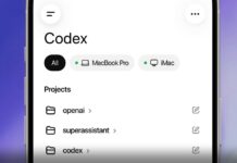 openai codex