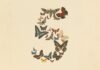 claude 5 anthropic