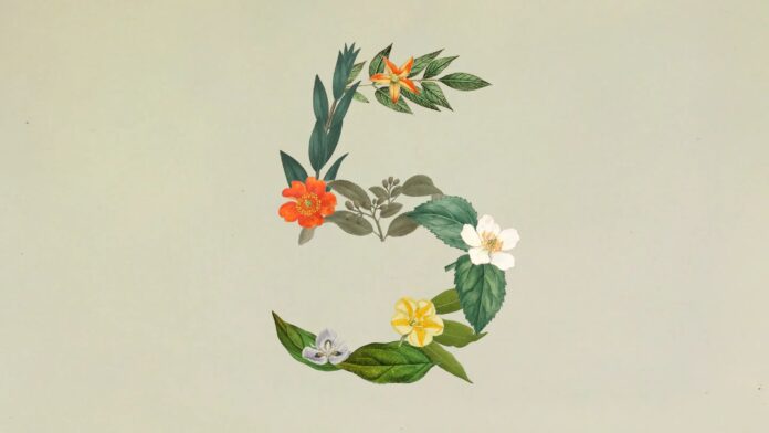 claude sonnet 5