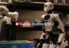 Gemini Robotics 2, l’intelligenza che governa umanoidi dai piedi alle dita