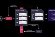 Blackwall vale 2,2 miliardi di dollari: 100 milioni per la piattaforma che protegge i siti web da bot e agenti AI