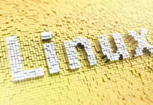 Ricevitori Linux: fase di stallo o cambio di rotta? Facciamo il punto enigma