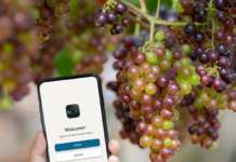 Con hOn la collezione dei vini diventa intelligente hOn