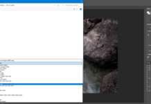 Come aprire e convertire le fotografie con estensione .webp Photoshop e WEBP