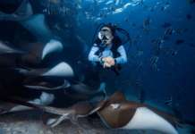 Garmin Descent Mk2S, smartwatch da sub Garmin Descent Mk2S