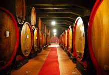 Vino Perfetto, la skill che trasforma Alexa in sommelier Vino Perfetto