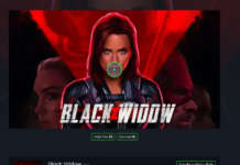 Il malware arriva con Black Widow: come difendersi Scammer Black Widow