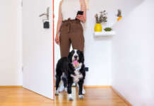 Nuki Smart Lock 2.0, la serratura intelligente per gli animali in casa Nuki Smart Lock 2.0