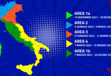 Centralini Tv e Nuovo Digitale Terrestre: cosa fare? Calendario del refarming UHF 700 MHz