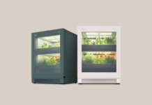 LG tiiun, al Ces 2022 il giardinaggio tecnologico indoor Lg Tiiun