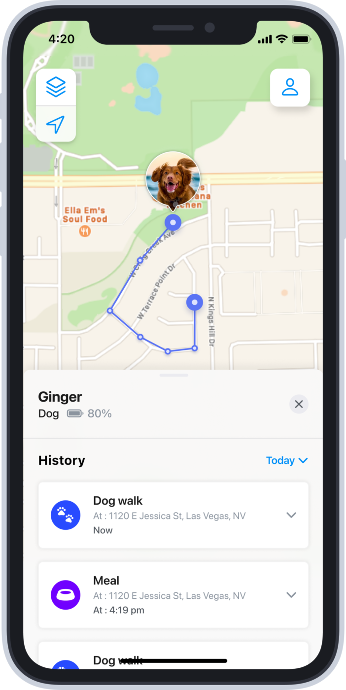 collare smart cane Invoxia