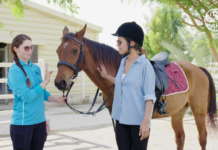 Canali satellitari: come cercarli, dove vederli MyZen 4K