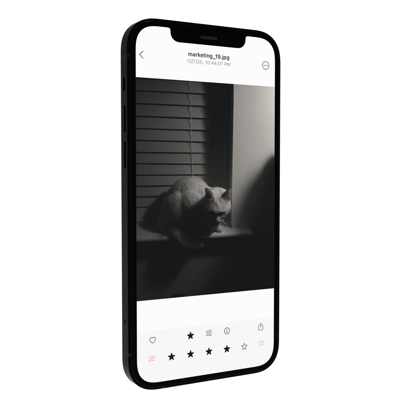 fotografia mobile Obscura