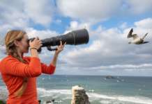 Nikon lancia il super teleobiettivo Nikkor Z da 800 mm Nikon