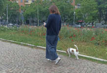 WeWard: con il cane, gli italiani camminano di più WeWard